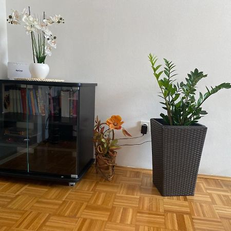 Apartment Miana トロギール エクステリア 写真